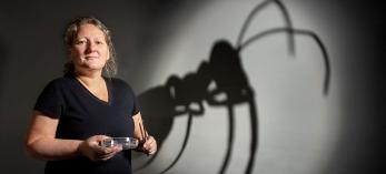 Giant ant shadow behind woman with petrie dish and forceps by Steven Meckler