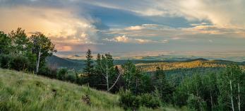 The White Mountains of Eastern Arizona by Laurence Parent