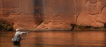 Dave Foster casts up and across the Colorado River at Long Bar. Photograph by Scott Baxter.