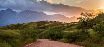Evening light illuminates the rolling foothills of the Santa Rita Mountains along Gardner Canyon Road, an ideal route for exploring the range.  Photograph by Norma Jean Gargasz.