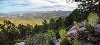 A prickly pear cactus punctuates a late-afternoon view of the Santa Maria Mountains from the Bull Springs Trail. Photograph by Joel Hazelton.