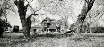 Tall trees frame a view of Tempe’s Petersen House in 1960, when it was still in a rural setting. Photograph: Tempe History Museum
