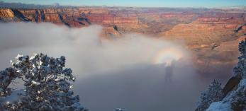 Mike Buchheit captured his own shadow on a cloud at the Grand Canyon.