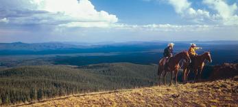 wo cowboys enjoy the view from the south ridge of Mount Baldy, the highest point in Eastern Arizona’s White Mountains. This photograph appeared on the cover of Arizona Highways’ June 1977 issue. WAYNE DAVIS