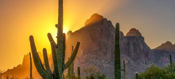 The setting sun casts a golden glow behind rocky peaks with saguaros in the foreground at Ironwood Forest National Monument. By Norma Jean Gargasz