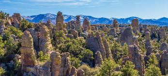 Rock hoodoos mix in with pine trees in the Chiricahua National Monument, near Willcox, Arizona.