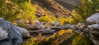 A placid pool mirrors rocks, vegetation and saguaro-studded slopes along the Sabino Canyon Trail. By Jeff Maltzman