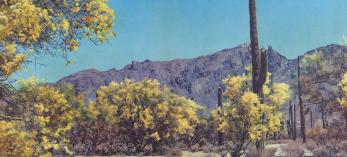 Paloverde trees and saguaro cactuses display their spring blossoms beneath rocky peaks in the Sonoran Desert. The photos accompanying this essay are from the 1940s, when the essay first appeared in Arizona Highways. | Tad Nichols