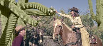 A guest at the Tucson area’s Flying V Ranch examines  a saguaro blossom during a guided horseback ride in the  mid-20th century.  Arizona Historical  Society/Restoration by Richard Jackson