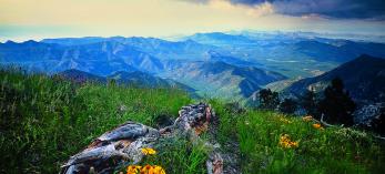 Unobstructed views stretch to the horizon from Monte Vista Peak in Southeastern Arizona’s Chiricahua Wilderness, where the highest point is 9,759 feet atop Chiricahua Peak. By David Muench