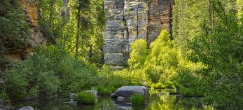 Late-afternoon light illuminates foliage along a placid pool near the Maxwell Trail. | Joel Hazelton