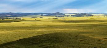 The summit of Wahl Knoll, a peak in Eastern Arizona’s White Mountains, offers a view of an expansive meadow and other rounded knolls. Reaching an elevation of more than 9,700 feet, Wahl Knoll is off State Route 261 northeast of Big Lake. | Joel Hazelton