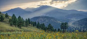 The San Francisco Peaks, Arizona’s highest mountains, loom over a hillside of evergreens and wildflowers at sunset. The Peaks are sacred to several of Arizona’s tribes, adding deeper meaning to an effort to rename one of the summits. By Michael Wilson