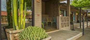 Large wooden containers hold mature succulent outside a the patio and entrance to a room at The Star Motel. By Laurence Parent