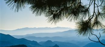 The evergreens of Eastern Arizona’s Blue Range Primitive Area frame a view of New Mexico’s Blue Range Wilderness to the east. While New Mexico’s portion of the Blue Range has received wilderness protection, Arizona’s remains a primitive area — the last such area in the U.S.  | JACK DYKINGA