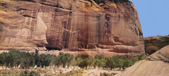 An imposing cliff at Canyon de Chelly dwarfs an equine-drawn wagon at the bottom of the canyon. According to  the National Park Service, about 40 Navajo families still live at Canyon de Chelly National Monument. By Darwin Van Campen