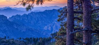 Jagged mountains form a layered panorama at sunrise in a view near Rustler Park, part of Southeastern Arizona’s Chiricahua Mountains. Named for the cattle thieves who once holed up there, Rustler Park is known for its birding and wildlife-watching opportunities. | Jeff Maltzman 