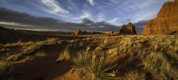 Flowering yuccas catch the last light of the day beneath the sandstone buttes of the Navajo Nation, which makes up much of Arizona’s northeast corner. Covering more than 27,000 square miles in Arizona, New Mexico and Utah, the Navajo Nation is the largest tribal land in the United States. By Bernhard Michaelis