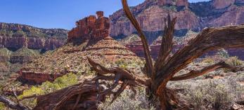Battleship in the Grand Canyon