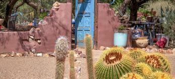 A cactus garden and colorful ceremic pots near a Southwest style fence and gate adorn the grounds of Desert Meadow Park. By Norma Jean Gargasz