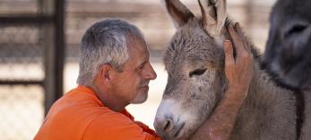 Joel H. works to build trust with Aries, a 1-month-old burro. | David Wallace