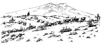 Black and white illustration by Ross Santee of a cattle drive with sparse vegetation.