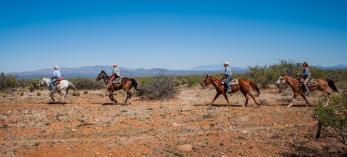 Four horseback riders traveling through desert terrain. By Az Dude Ranch Association
