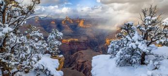 Snow-covered foliage near Yavapai Point, on the South Rim, anchors a view into the Grand Canyon at sunset. This photo illustrates how winter precipitation typically falls as snow on the Canyon’s rims, but melts into rain before reaching the bottom of the gorge. | Guy Schmickle