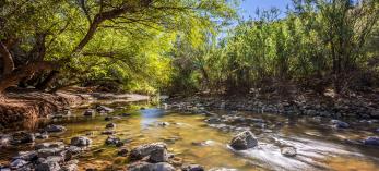 State Route 77 curves through a landscape of tall saguaros and jagged peaks. | A.O. Tucker