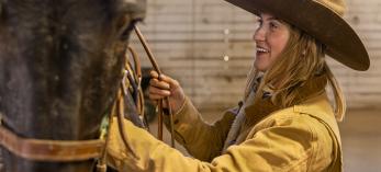 Grand Canyon wrangler Remy Kelbel prepares one of the mules at the South Rim for a morning ride. Kelbel is one of up to nine wranglers employed at the Canyon by Xanterra Travel Collection. By John Burcham