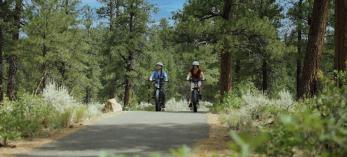Two mountain bikers tour ride along a paved path through pine trees.