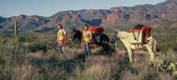 Gil (left) and Troy Gillenwater search for a suitable campsite near the  Sierra Ancha during their 1982 trek across Arizona. With them are Judy (left) and Grandma, their pack mules for most of  the 810-mile journey. By Gil and Troy Gillenwater