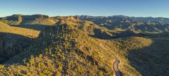 Above Castle Hot Springs Road, saguaros cast long shadows on the slopes of the Hieroglyphic Mountains. By Laurence Parent