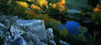 Chevelon Canyon begins at the confluence of Woods Canyon and Willow Springs Canyon drainag es, treed areas pockmarked by limestone outcroppings. | Nick Berezenko