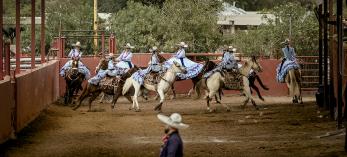 Rayenari is one of the most successful U.S. teams in escaramuza, a Mexican tradition more than 70 years old. | Adriana Zehbrauskas