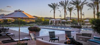 A calm swimming pool is shown, with lounge chairs and palm trees surrounding it. 