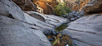 Water pools in a side canyon of Wet Beaver Creek, located southeast of Sedona. | Mark Frank
