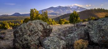 Lichen-covered boulders anchor a view of the San Francisco Peaks near Forest Road 514. By Shane McDermott