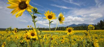 Explore Arizona | Arizona Highways