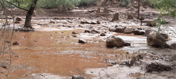 A color image shows the aftermath of flash flooding in the grand canyon and includes muddy water, debris and the remnants of a foot bridge.