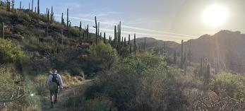 A hiker enjoys a desert trail near marana, Arizona.