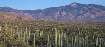 0217_hopecamptrail.jpg
