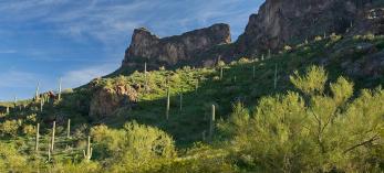 0317_huntertrail.jpg