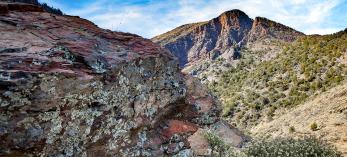 0318_barnhardttrail.jpg