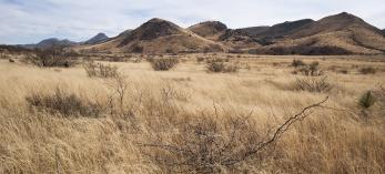 0318_ruckercanyonloop.jpg