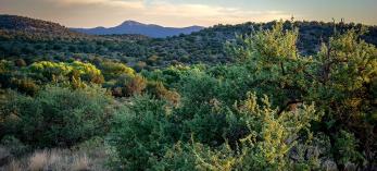 0416_forestroad618.jpg
