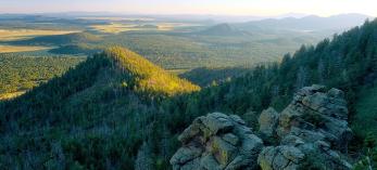 0515_kendricktrail.jpg