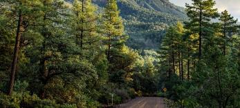 0517_controlroad.jpg