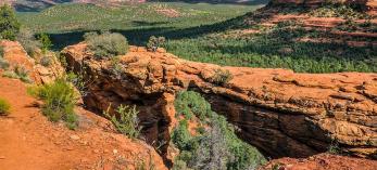 0517_devilsbridgetrail.jpg