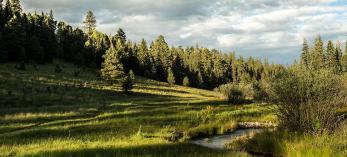 0615_westbaldytrail.jpg